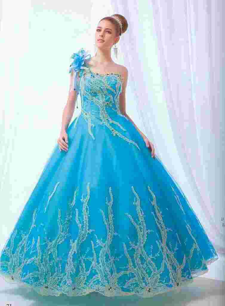 Gowns Meaning and Definition