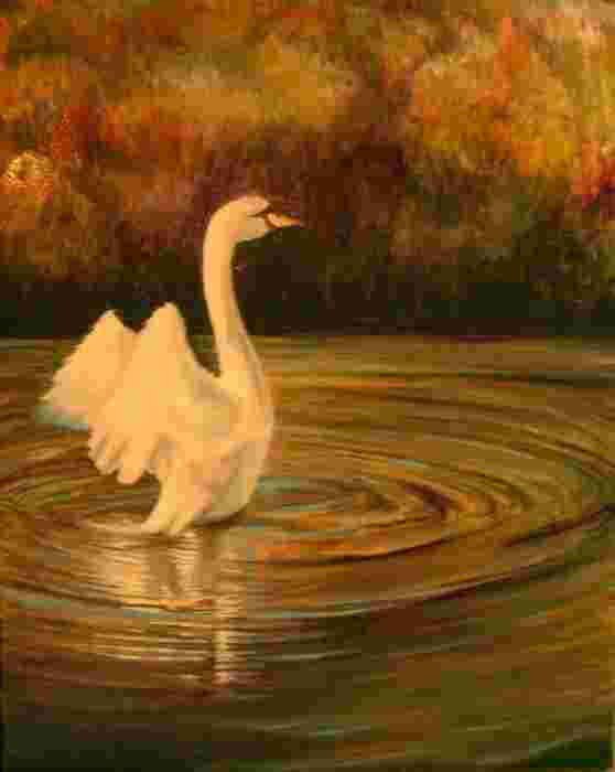 Graceful Meaning and Definition