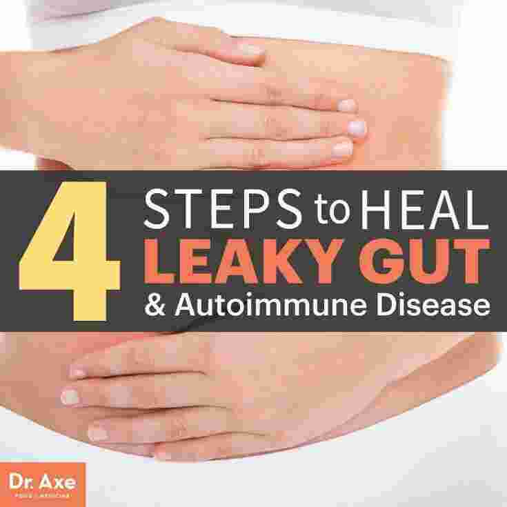 Gut Meaning and Definition