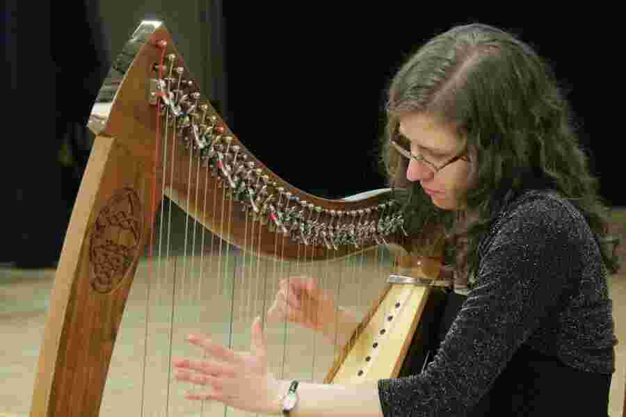 Harper Meaning and Definition