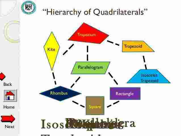 Hierarchy Meaning and Definition