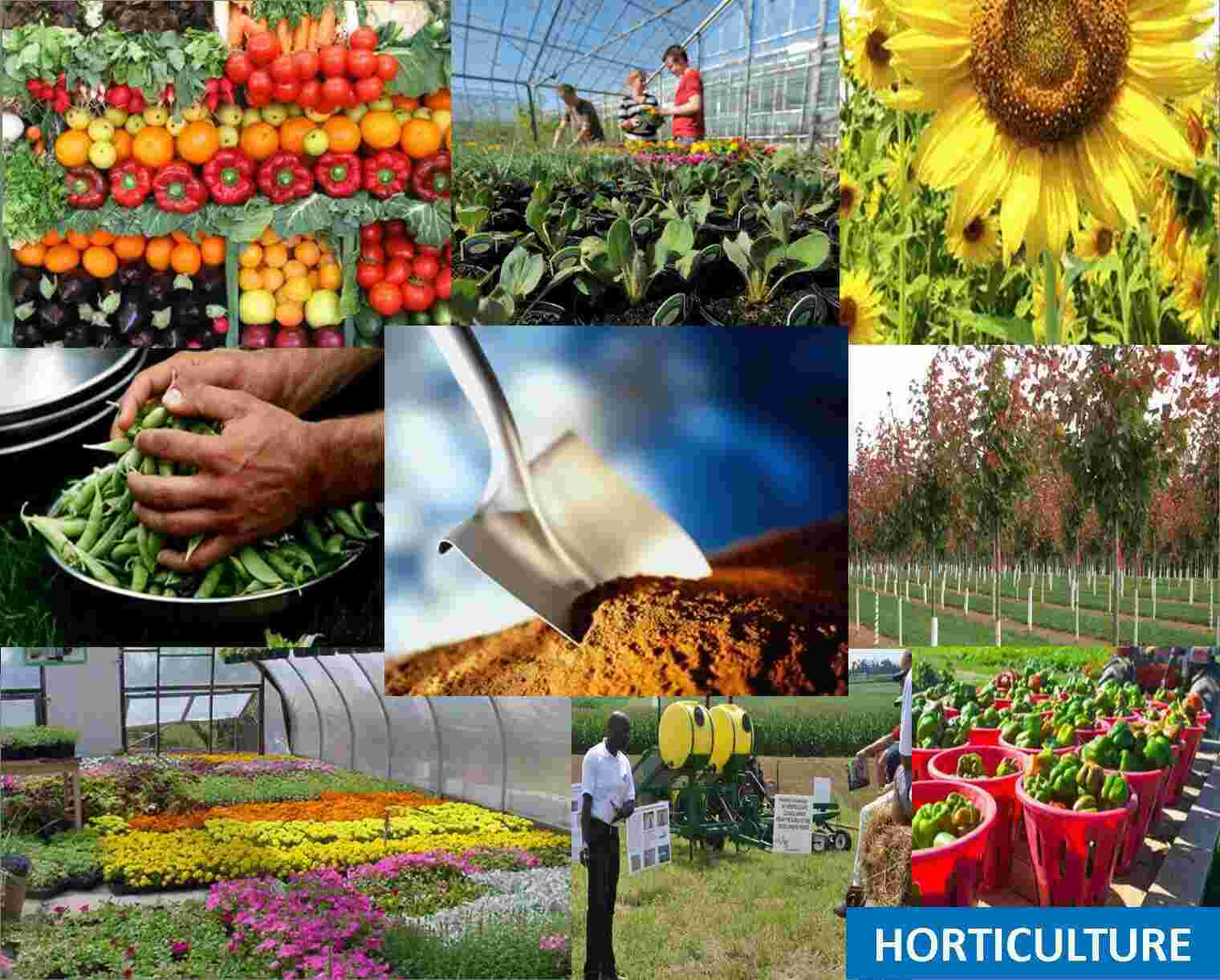 Horticulture Meaning and Definition