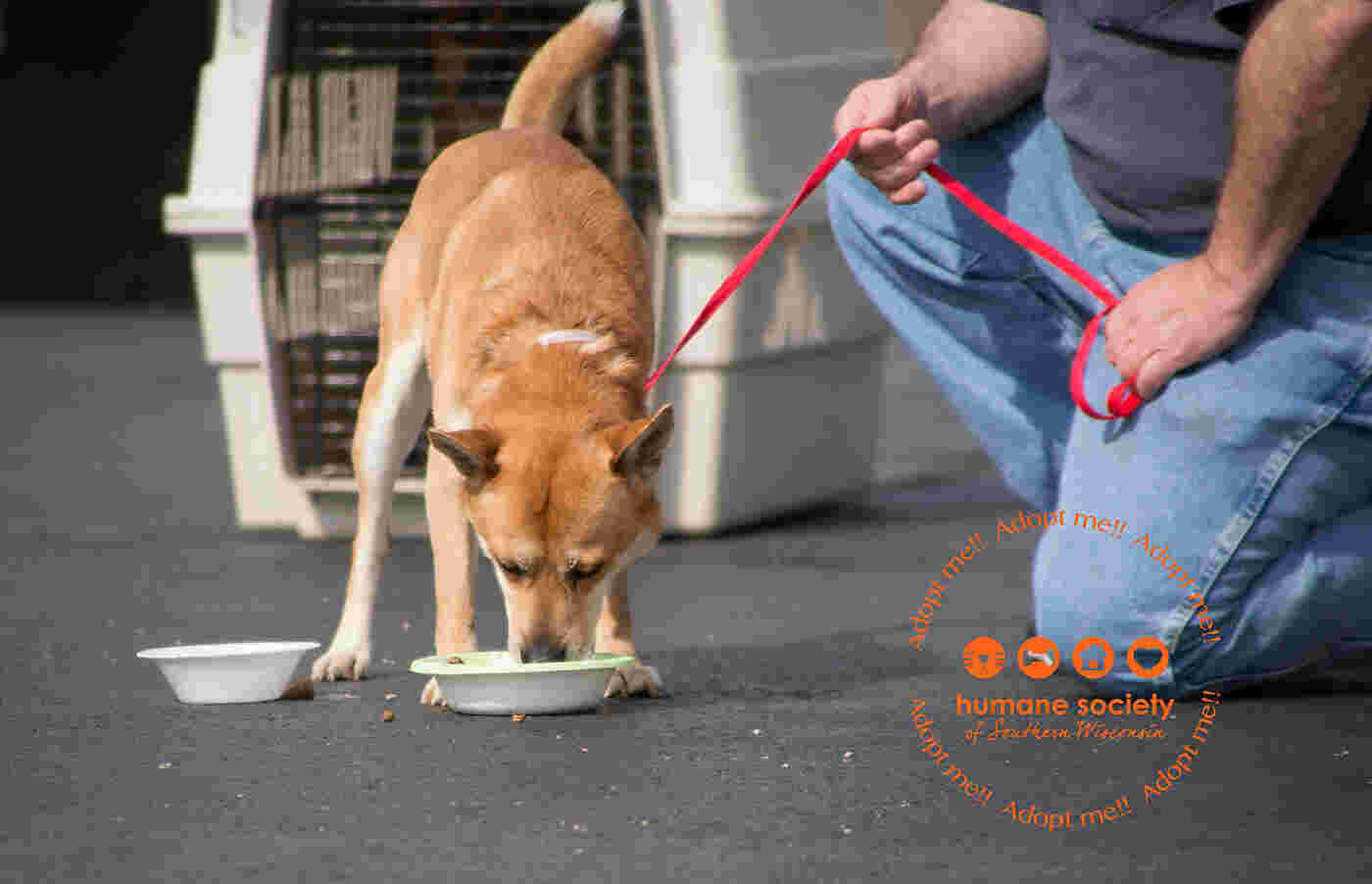 Humane Meaning and Definition