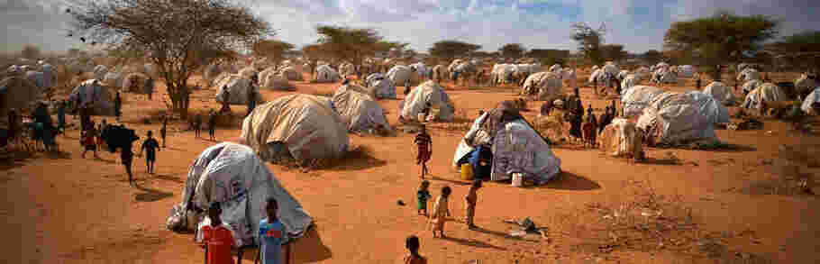 Humanitarian Meaning and Definition