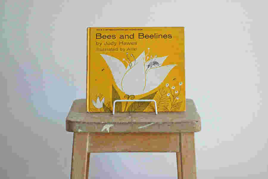 Illustrated Meaning and Definition