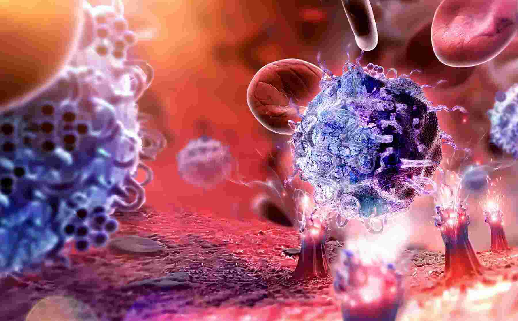 Immunology Meaning and Definition
