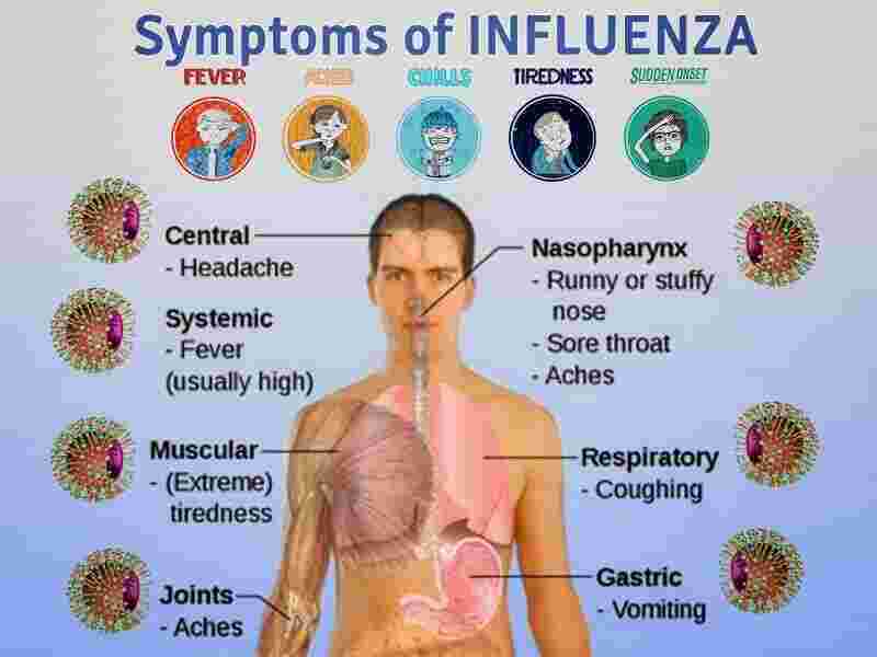 Influenza Meaning and Definition