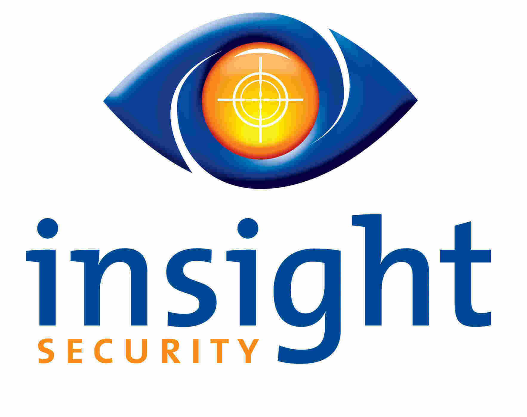 Insight Meaning and Definition