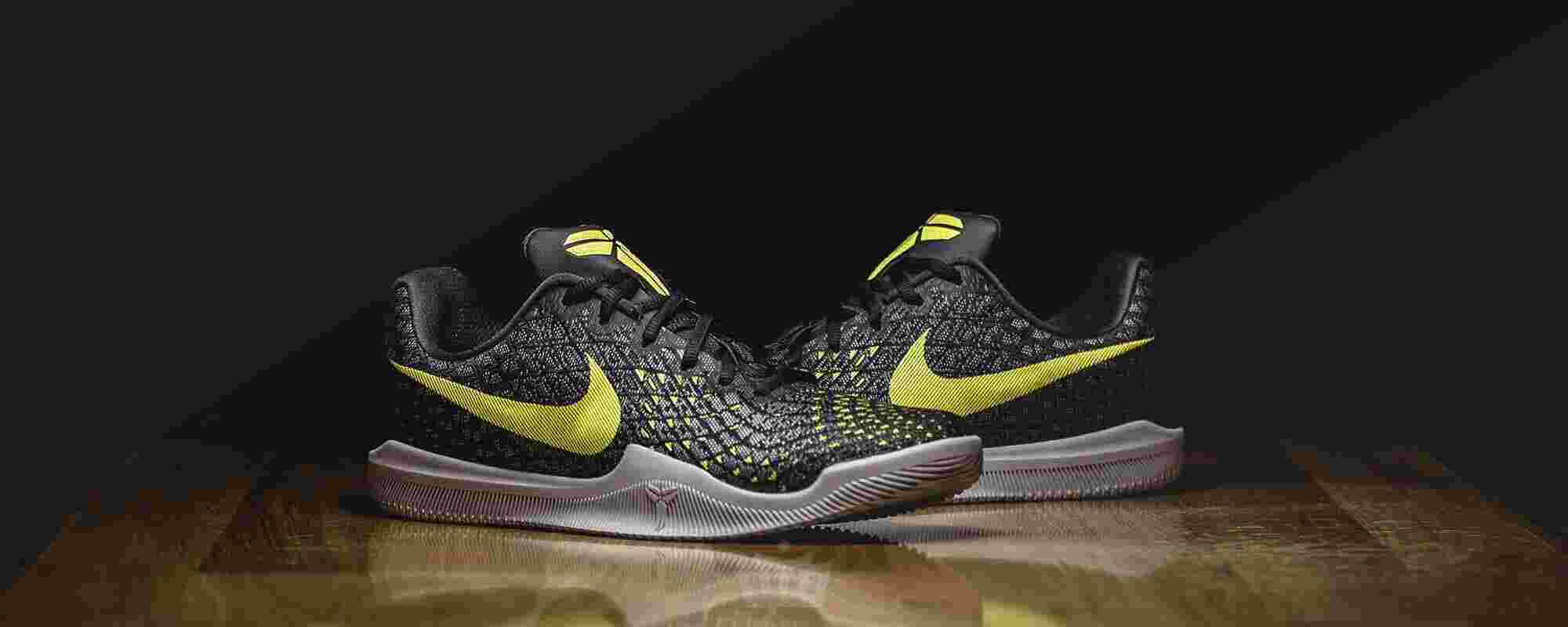 Instinct Meaning and Definition