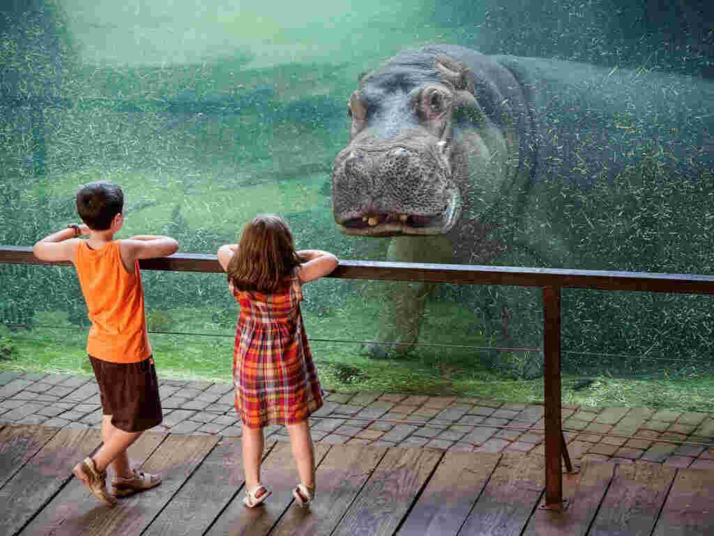 Interesting Meaning and Definition