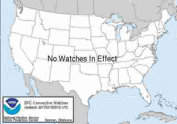 Issued Meaning and Definition