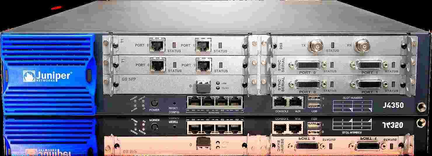 Juniper Meaning and Definition