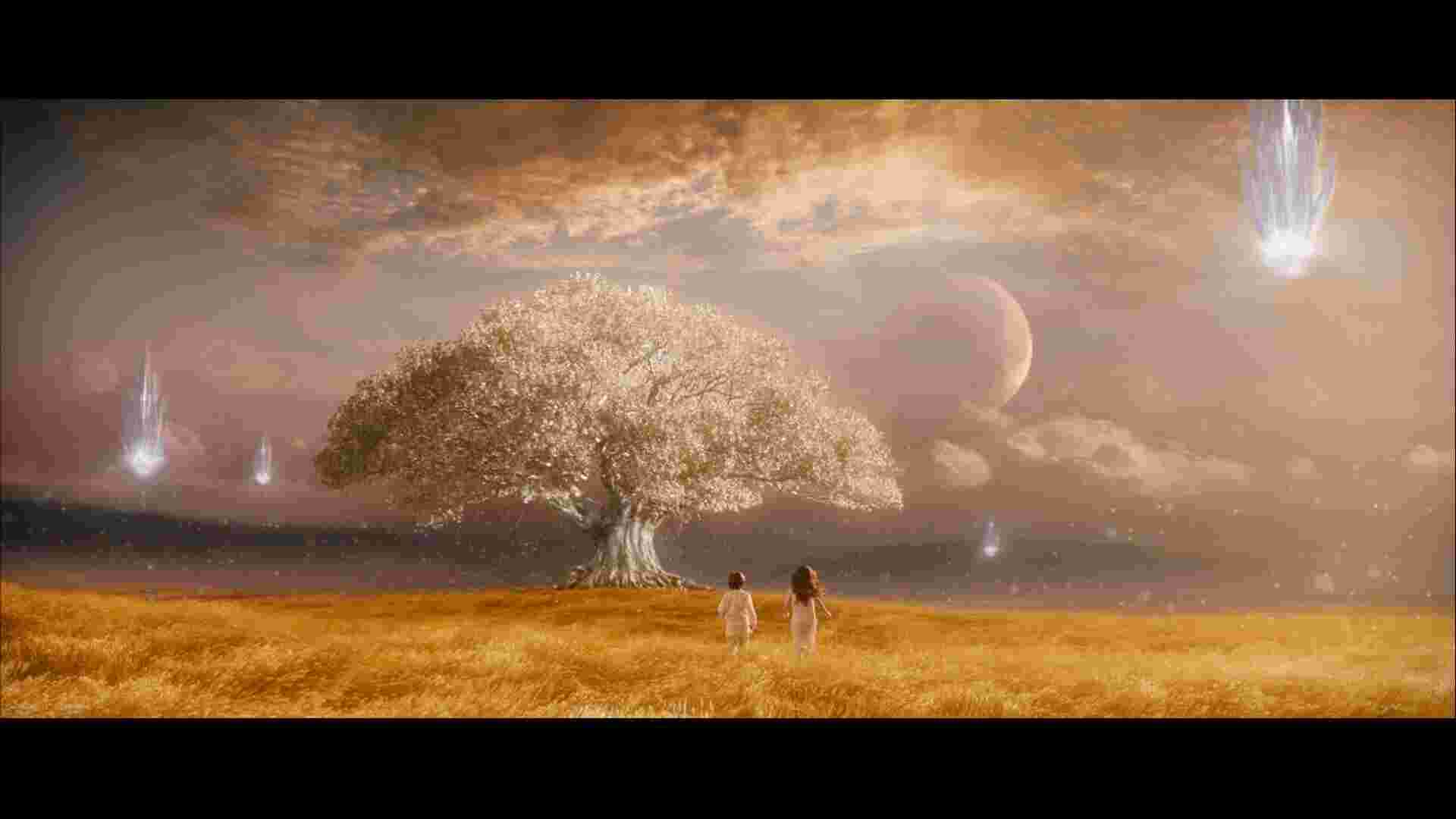 Knowing Meaning and Definition