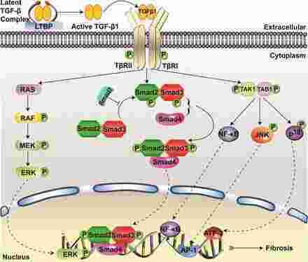 Latent Meaning and Definition