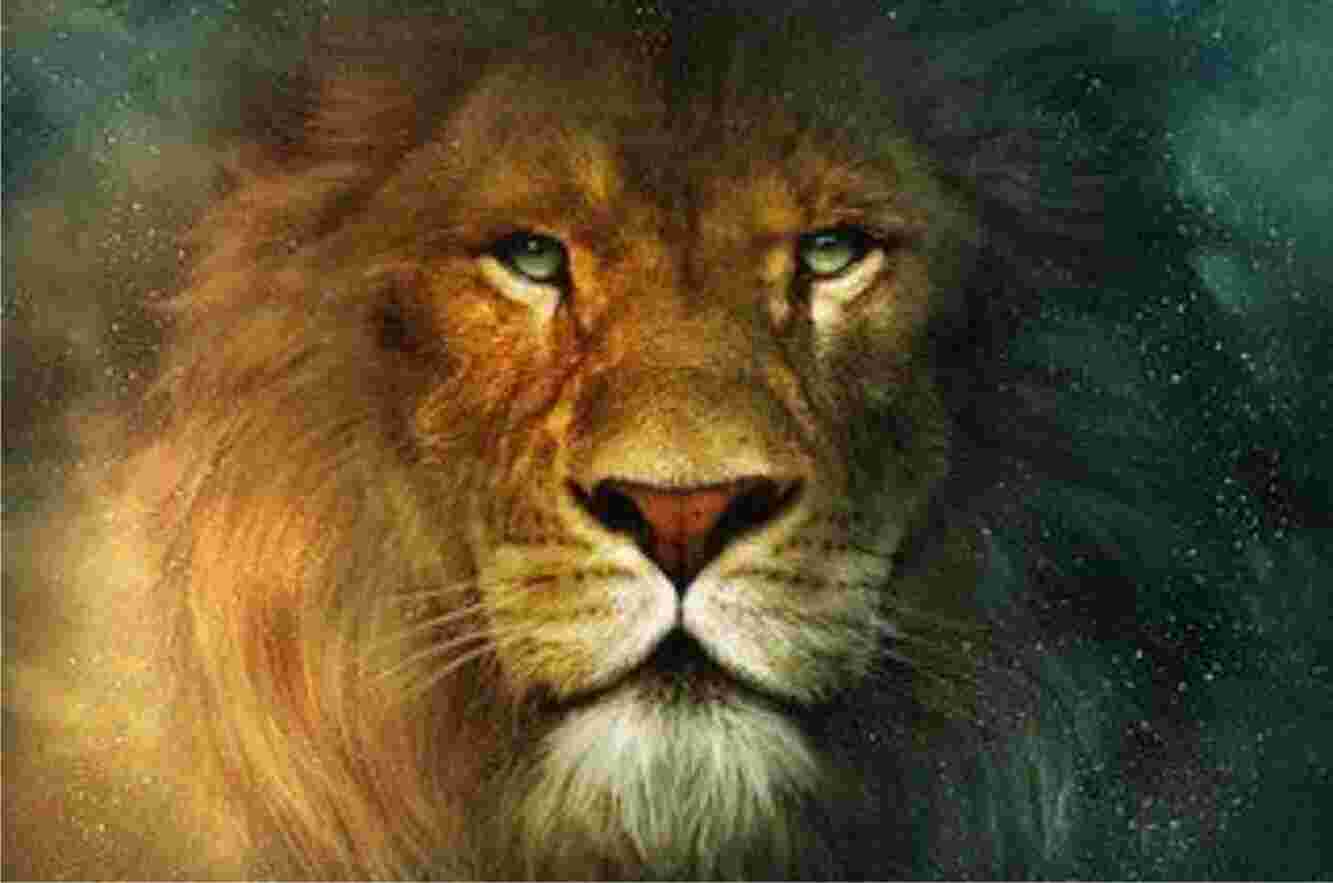 Leo Meaning and Definition