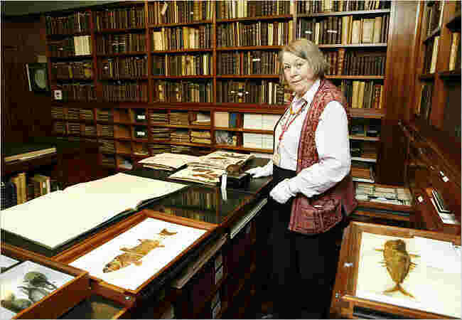 Librarian Meaning and Definition