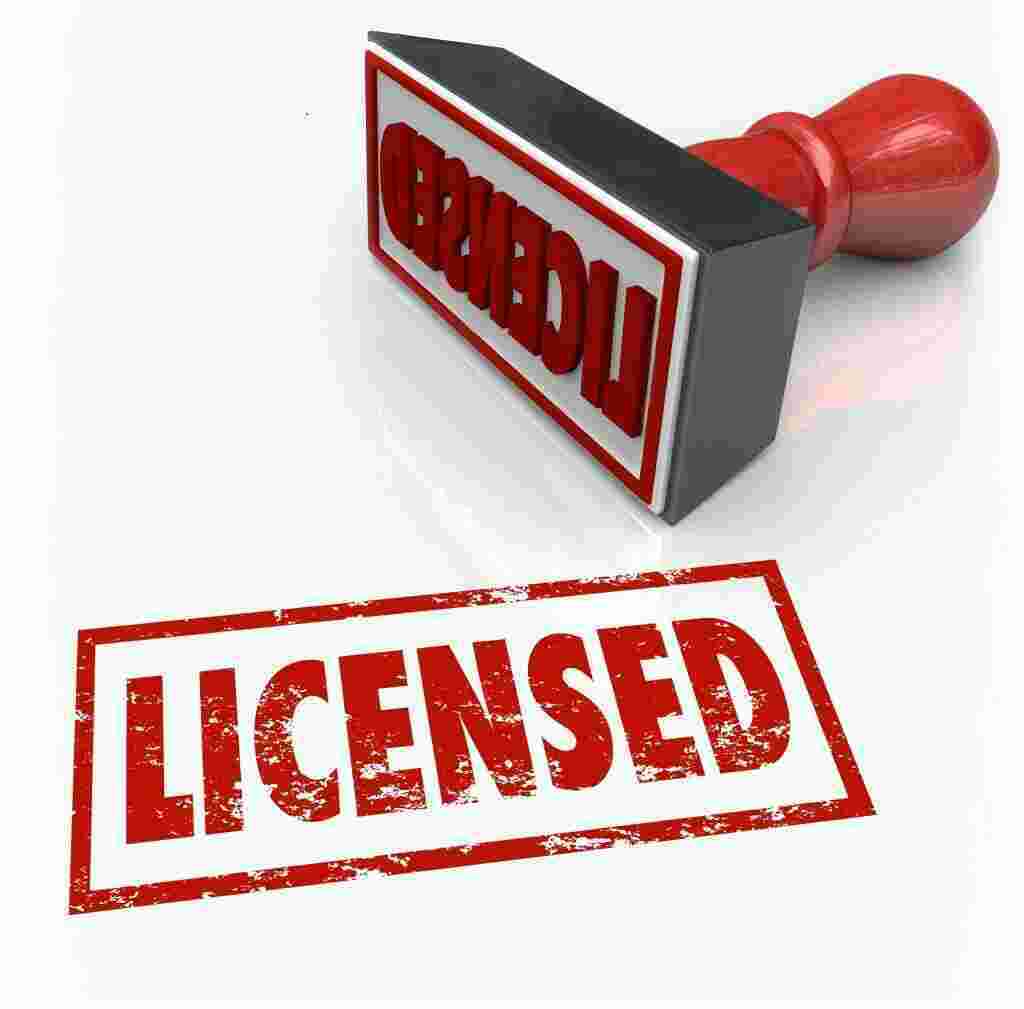 License Meaning and Definition