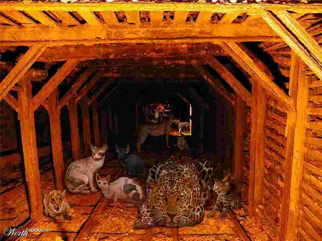 Mine Meaning and Definition