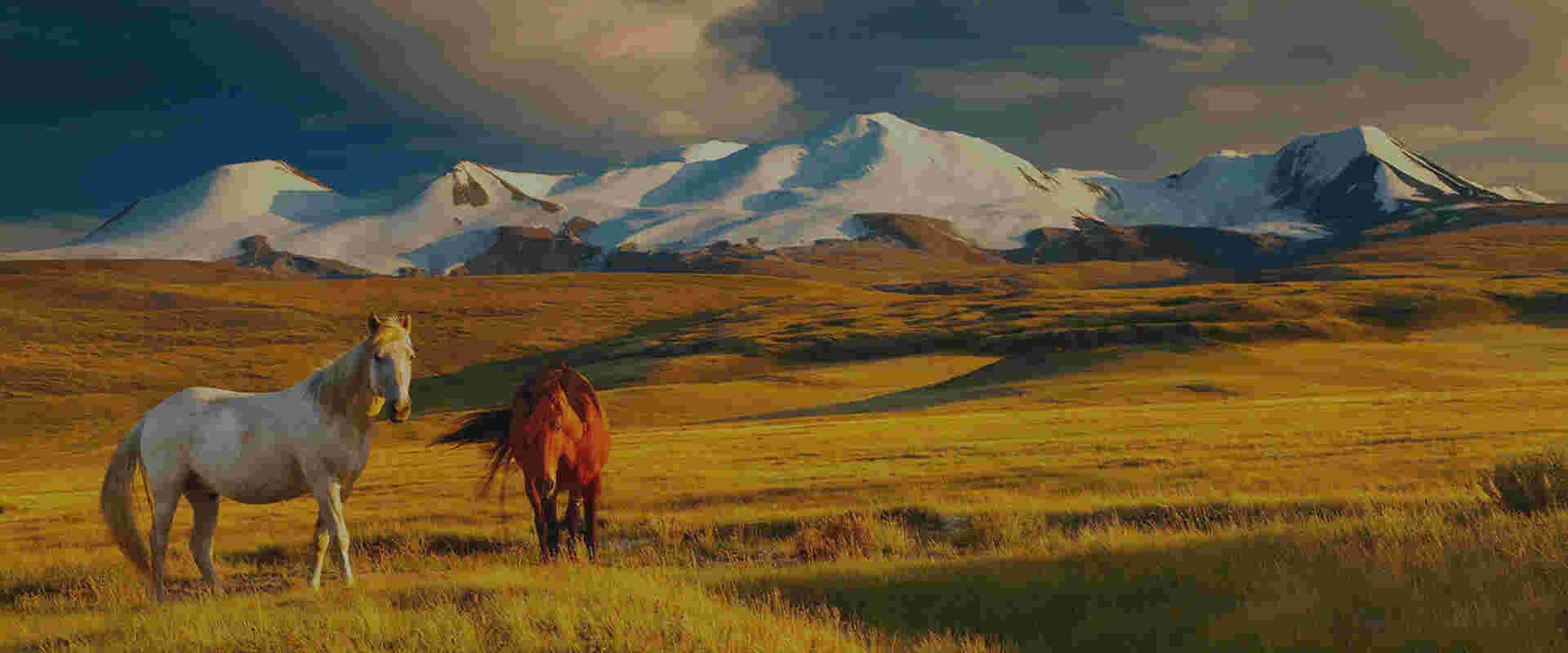 Mongolia Meaning and Definition