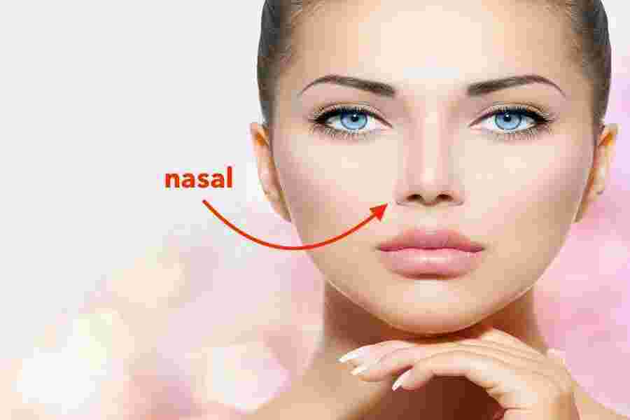 Nasal Meaning and Definition
