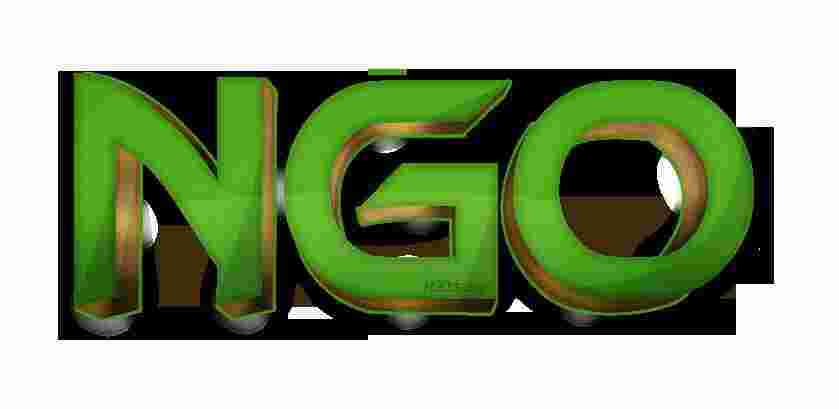Ngo Meaning and Definition