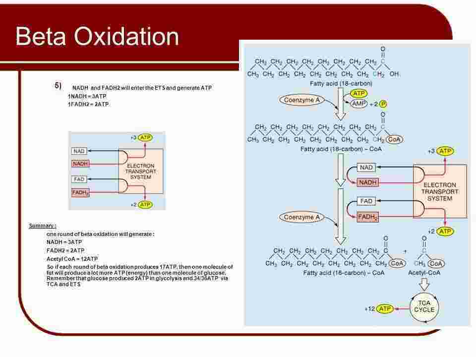 Oxidation Meaning and Definition