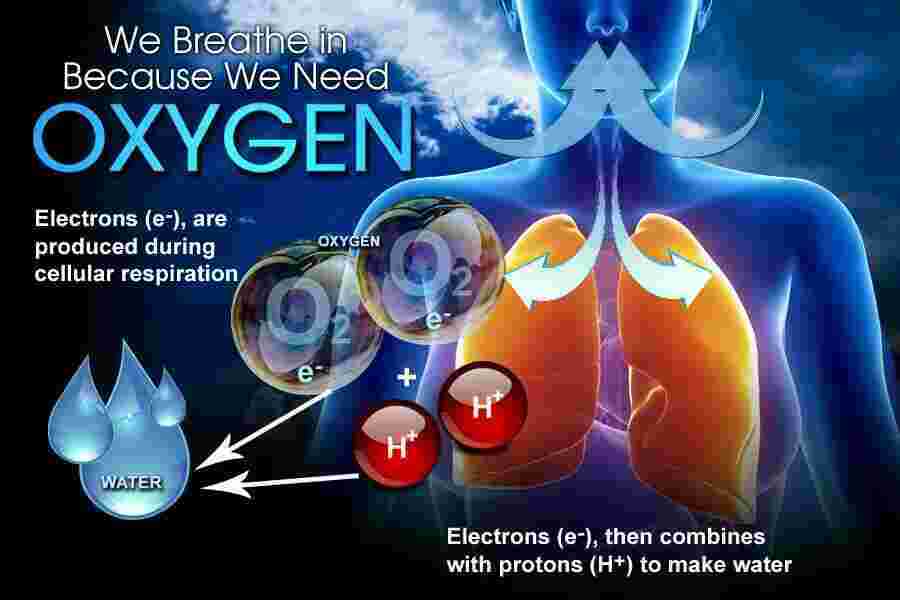 Oxygen Meaning and Definition