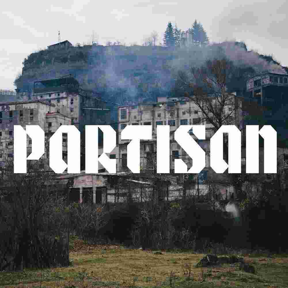 Partisan Meaning and Definition