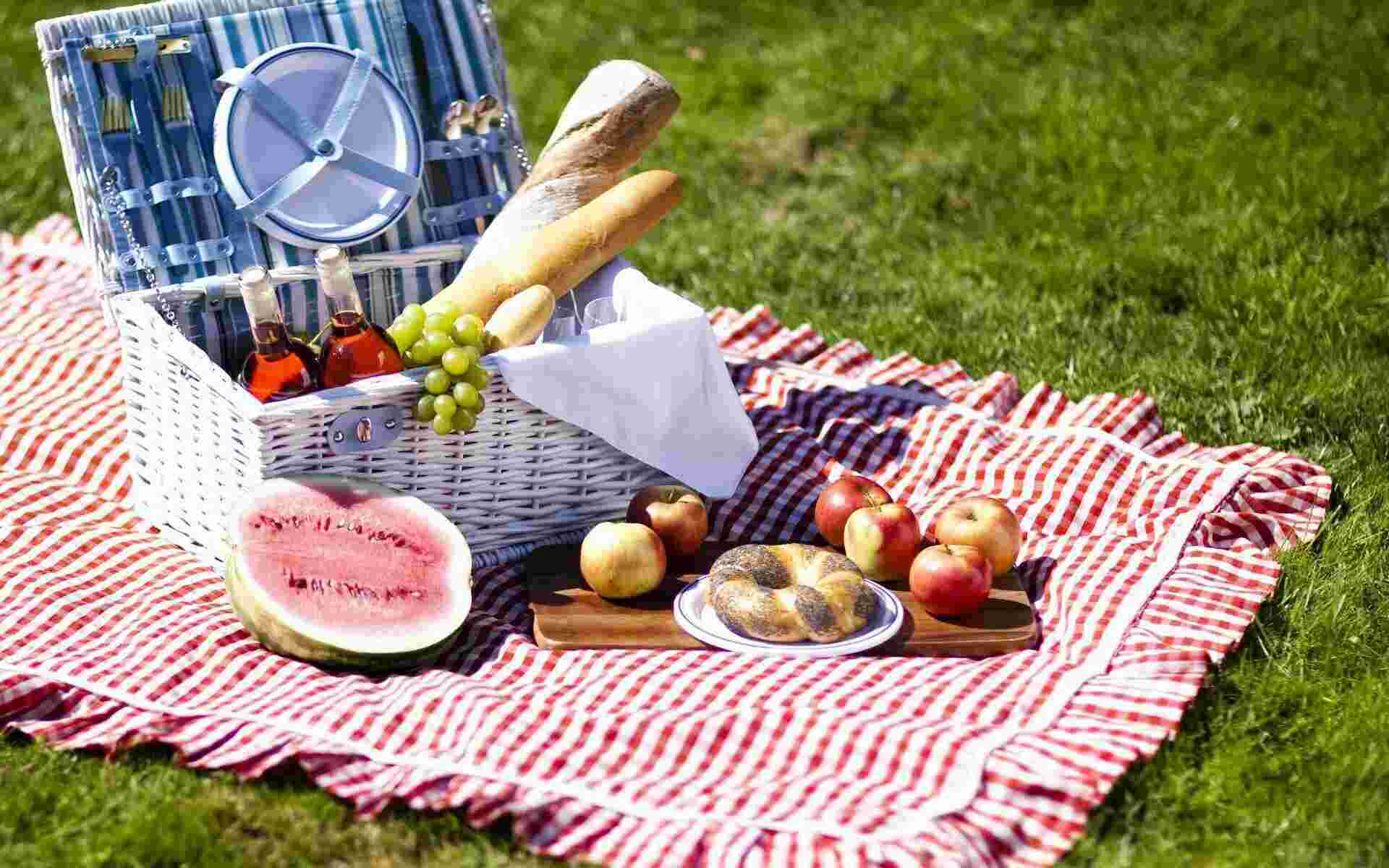 Picnic Meaning and Definition