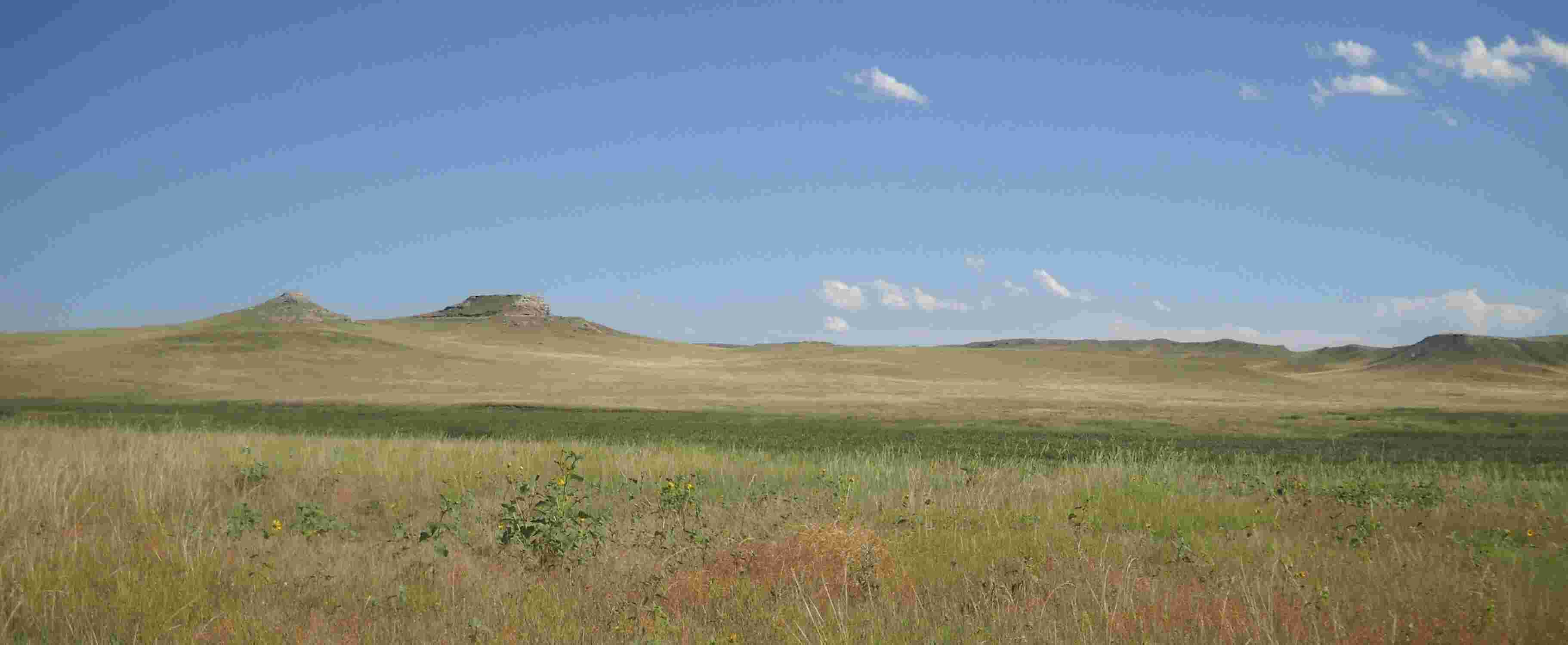 Plains Meaning and Definition