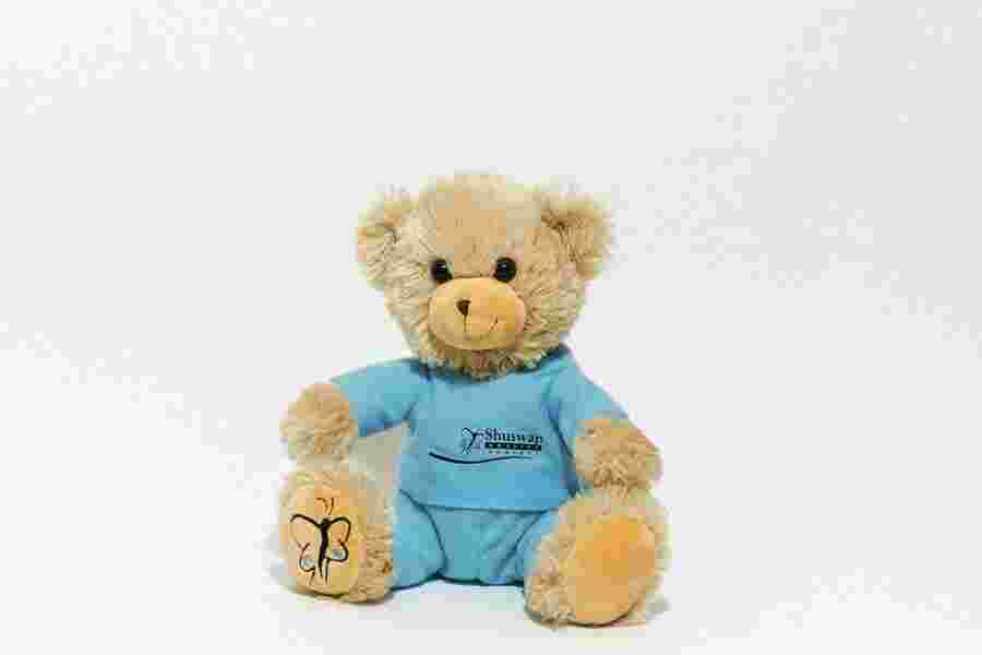 Plush Meaning and Definition