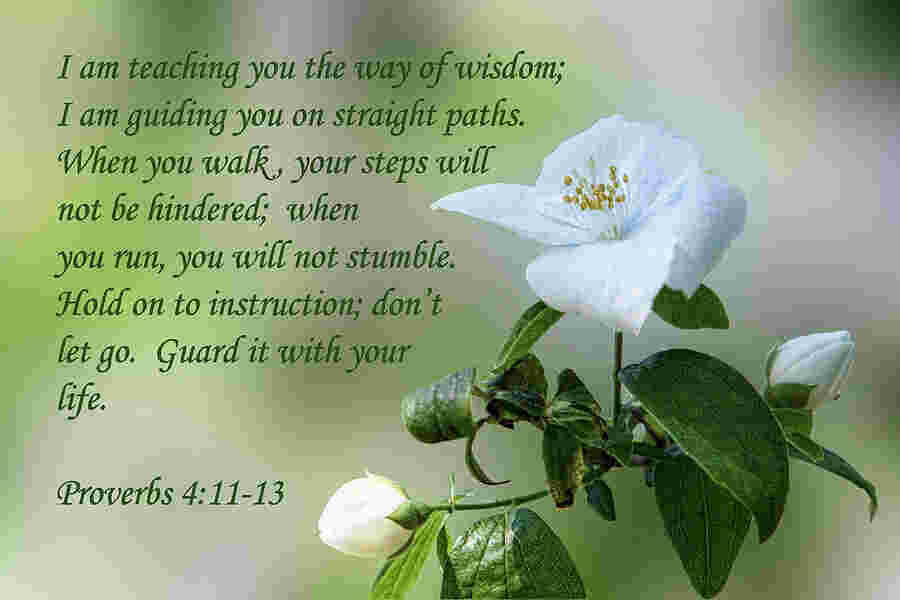 Proverb Meaning and Definition