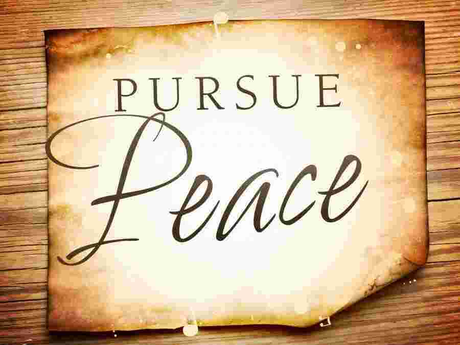 Pursue Meaning and Definition