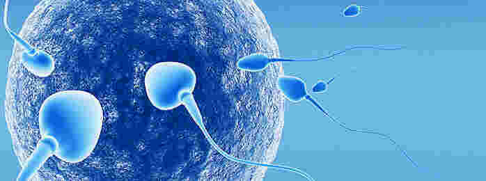 Reproduction Meaning and Definition