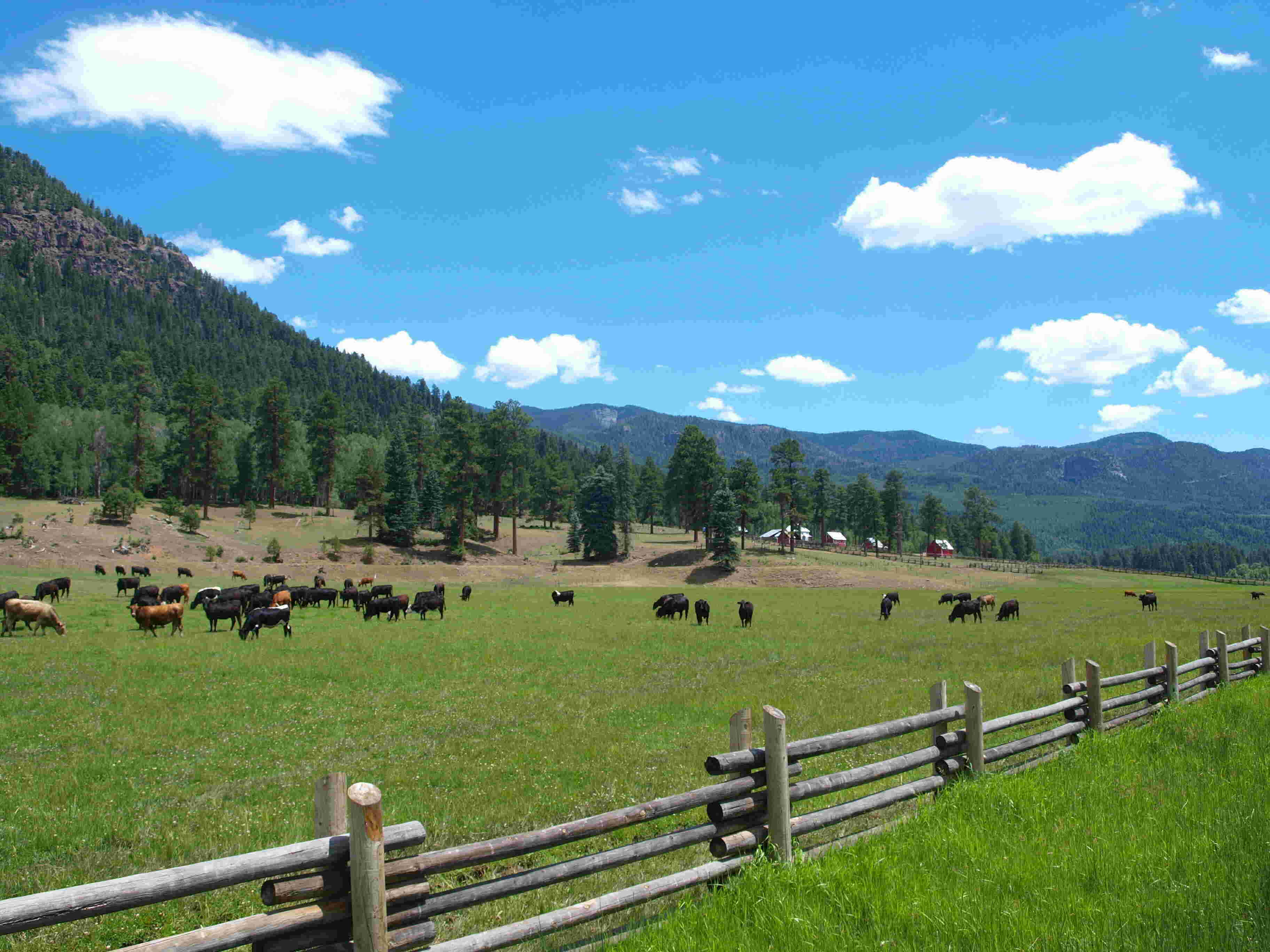 Rural Meaning and Definition