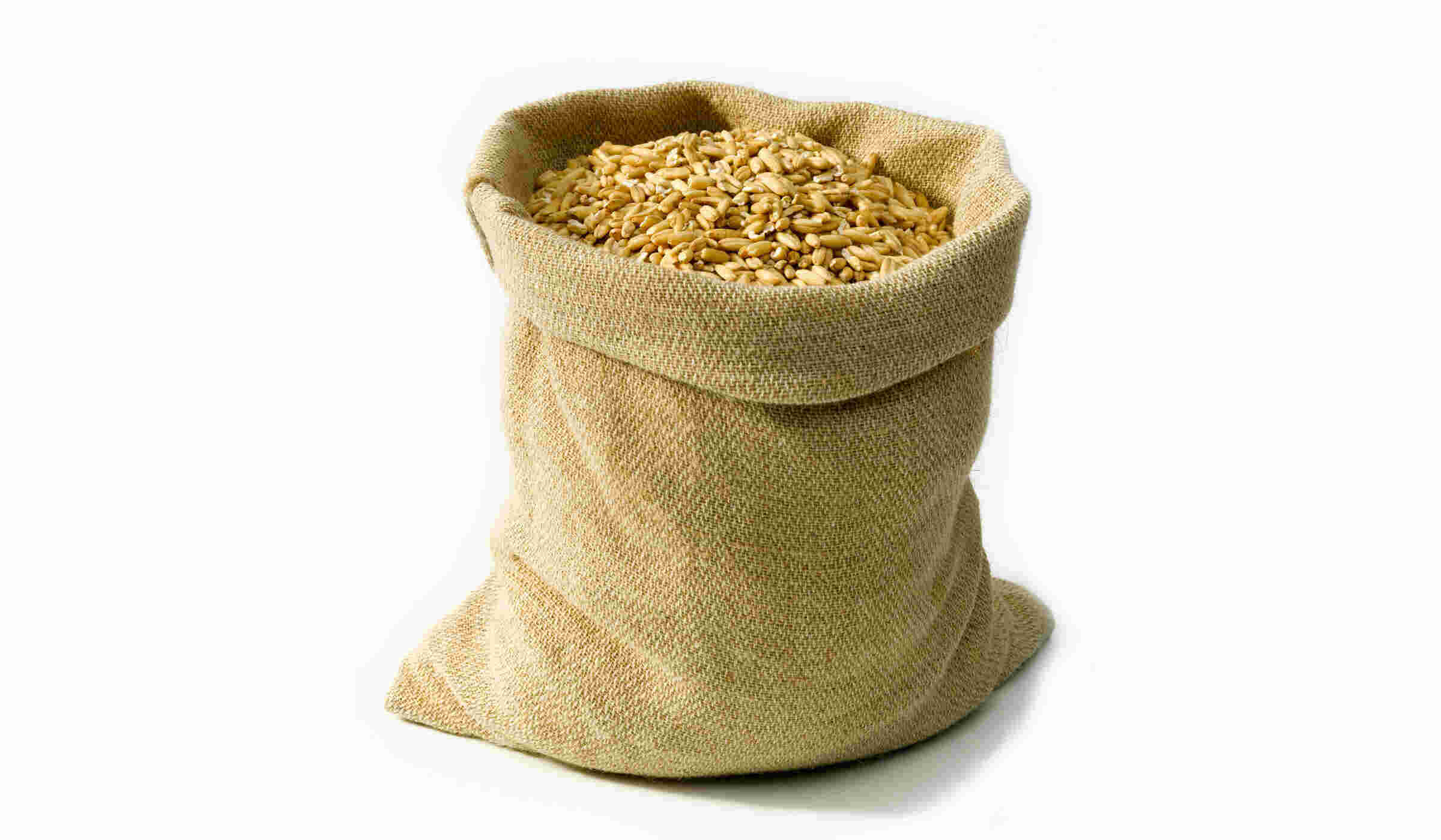 Sack Meaning and Definition