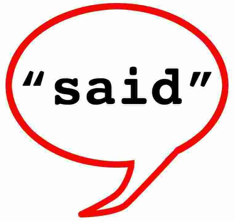 Said Meaning and Definition