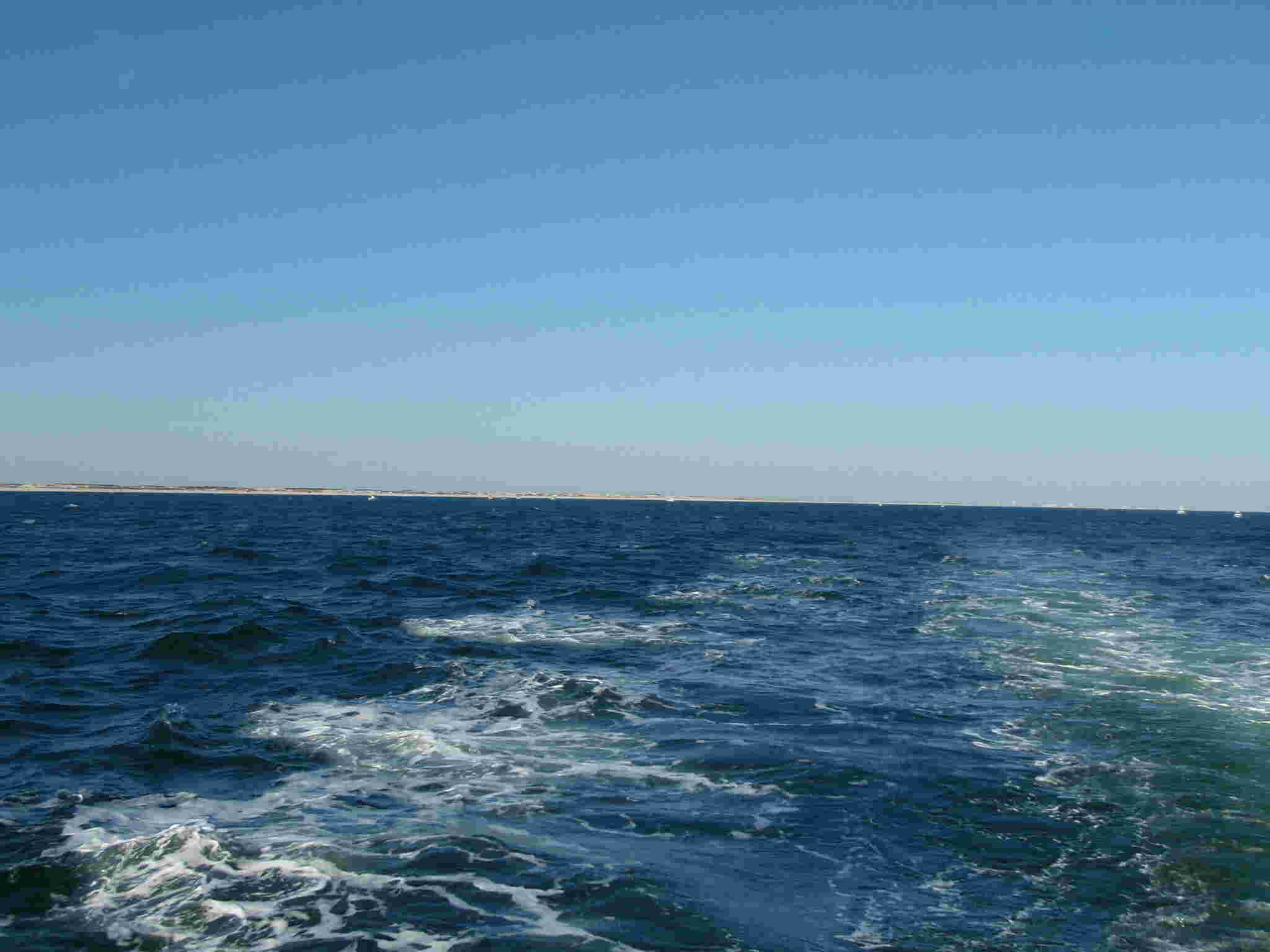 Saltwater Meaning and Definition