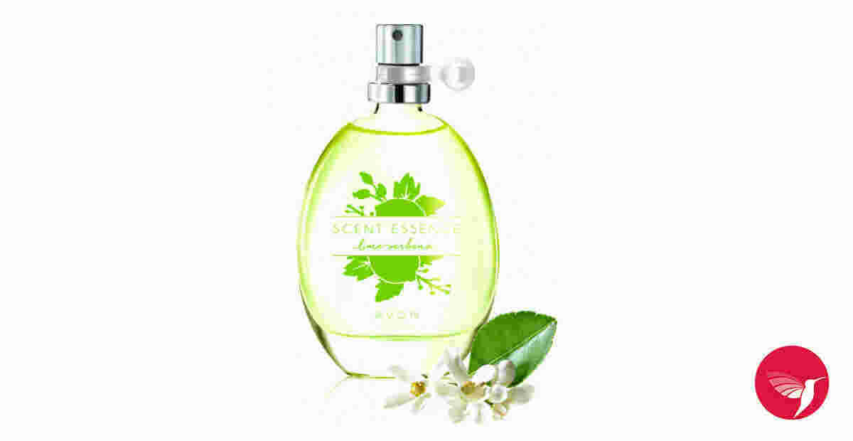 Scent Meaning and Definition