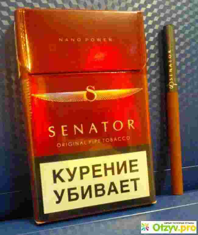 Senator Meaning and Definition