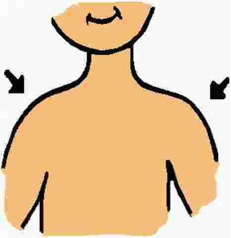 Shoulder Meaning and Definition