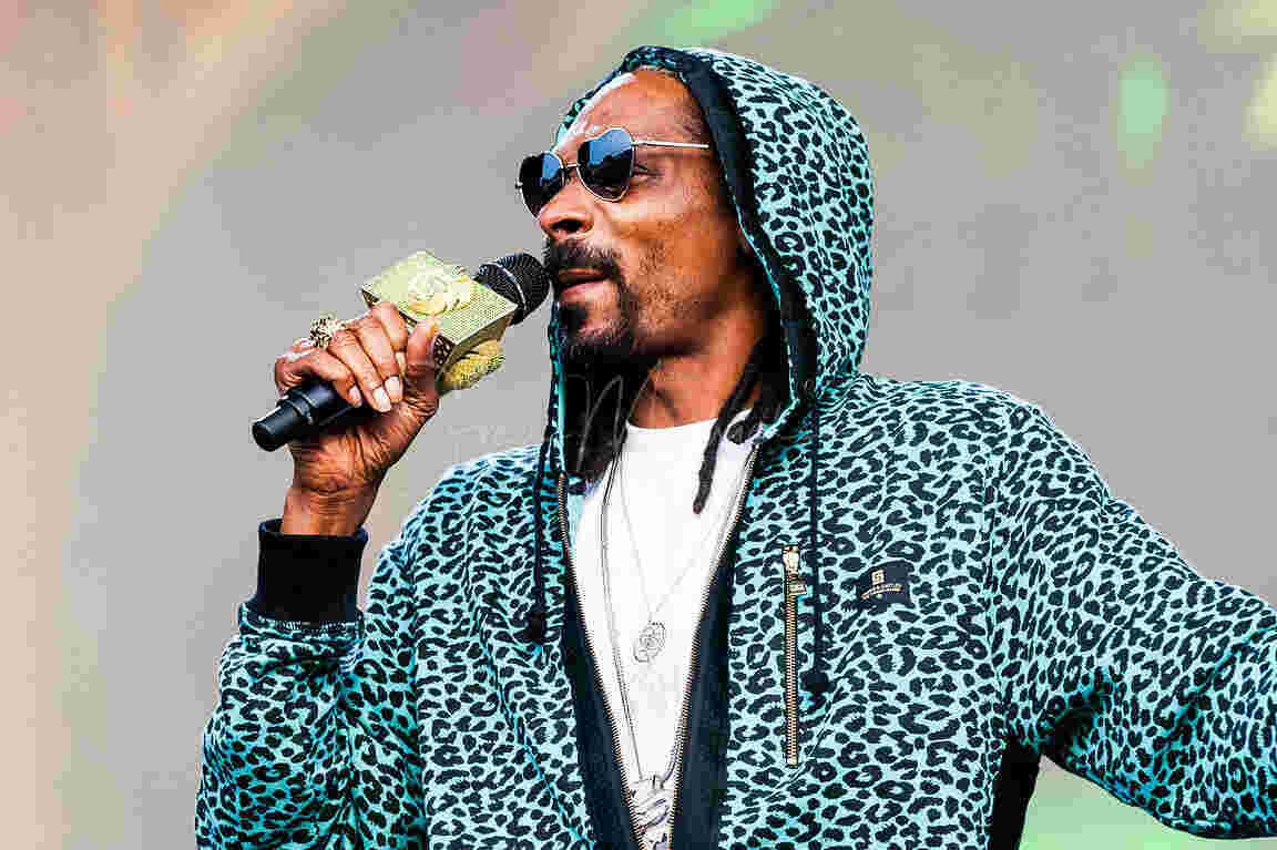 Snoop Meaning and Definition