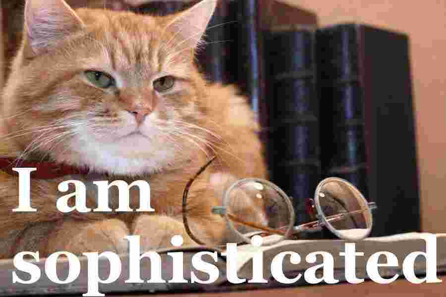Sophisticated Meaning and Definition