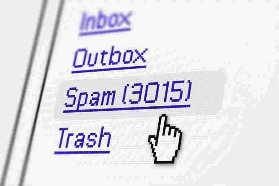 Spam Meaning and Definition