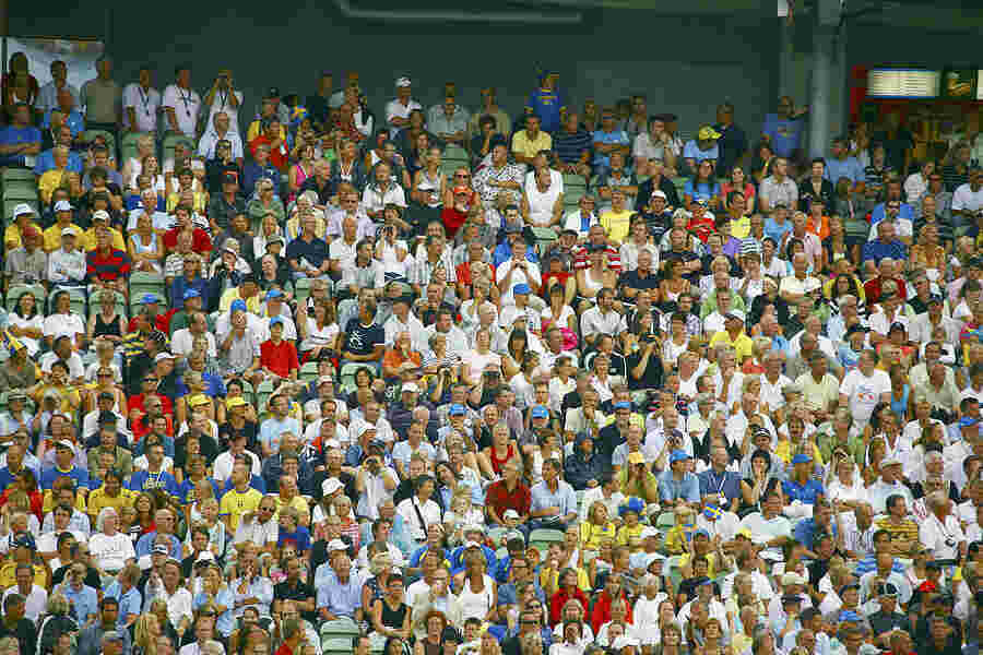 Spectator Meaning and Definition