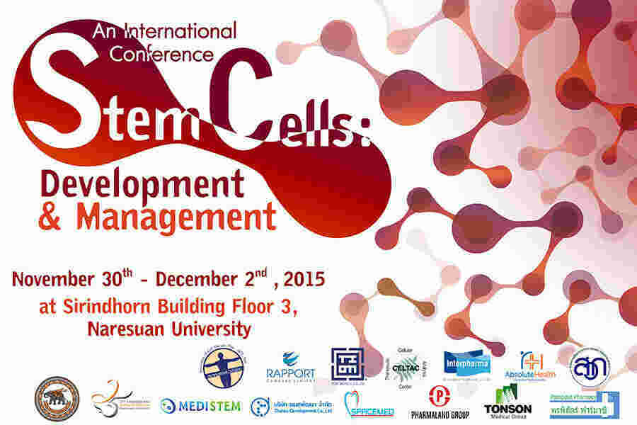 Stem Meaning and Definition