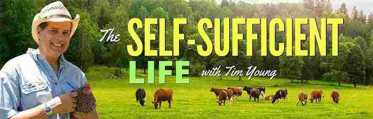 Sufficient Meaning and Definition