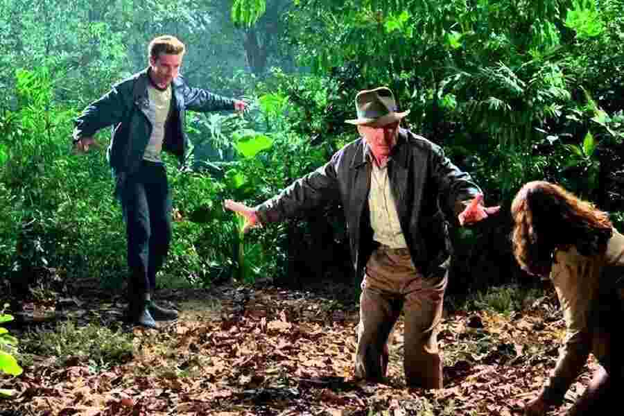 Swamp Meaning and Definition