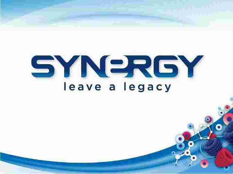 Synergy Meaning and Definition