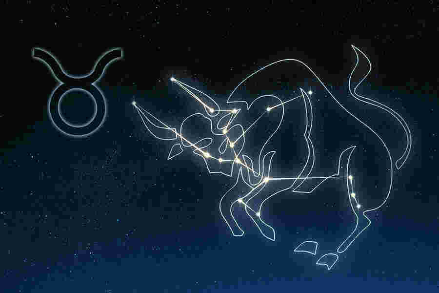 Taurus Meaning and Definition